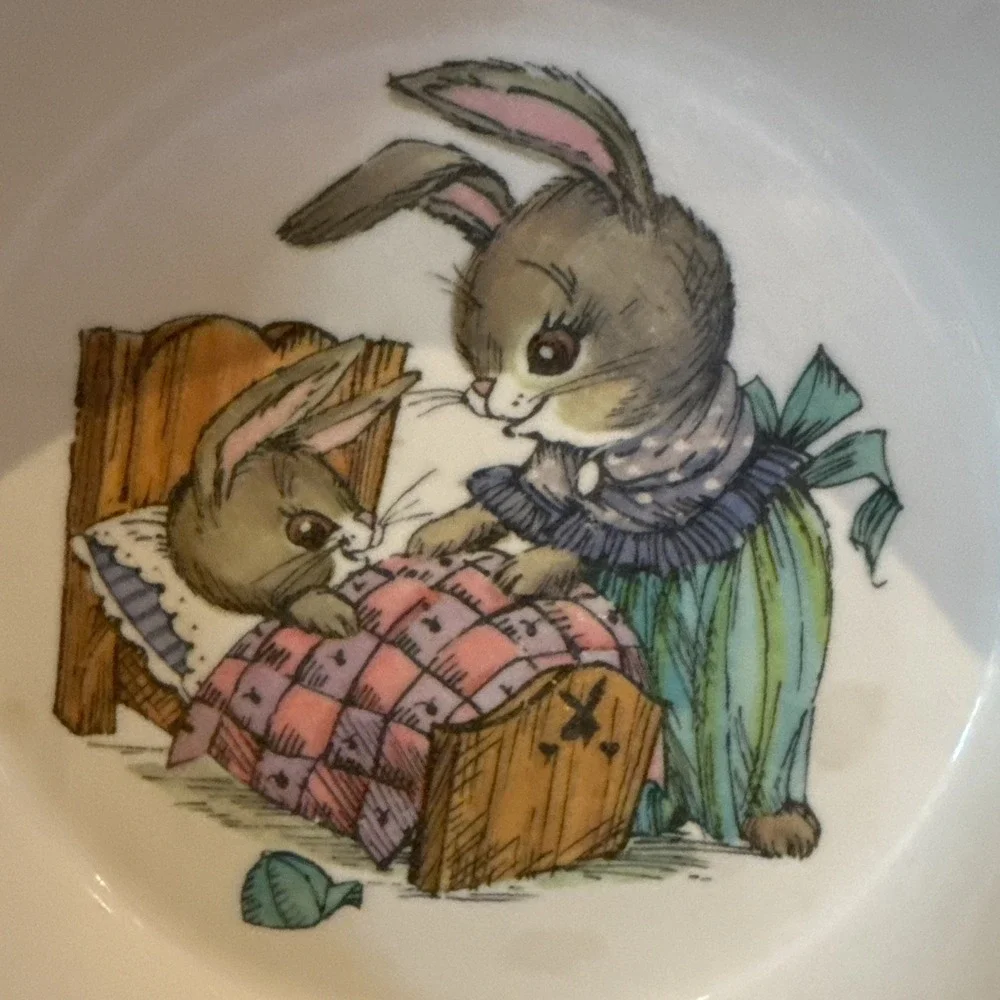 Vtg Oneida Deluxe 3243 Toddler Plastic Cereal Bowl Peter‎ Rabbit 6.5